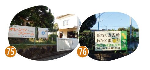果樹園 オレンジファームの外観と浜なし直売所 わたど園の看板の写真