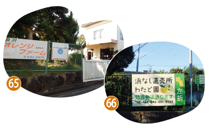 果樹園 オレンジファームと浜なし直売所 わたど園