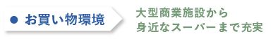 お買い物環境。大型商業施設から身近なスーパーまで充実