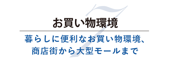 お買い物環境 暮らしに便利なお買い物環境、商店街から大型モールまで