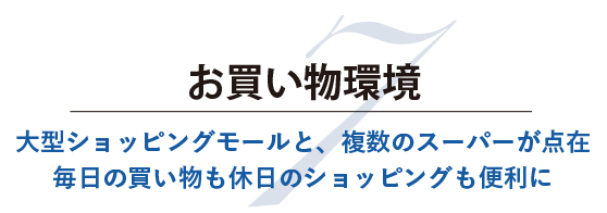 お買い物環境 大型ショッピングモールと、複数のスーパーが点在。毎日の買い物も休日のショッピングも便利に