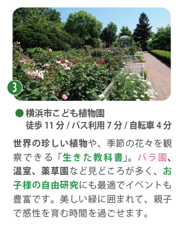 横浜市こども植物園。徒歩11分。バラ園や温室、果樹園などがあり、四季折々の植物を観察できる。子ども向けの植物教室やクイズラリーなど、遊びながら学べる体験が豊富。