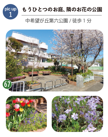 もうひとつのお庭、徒歩1分の公園 中希望が丘第六公園(徒歩1分)の風景。ベンチや花壇、遊具が整った身近な公園で、子どもと気軽に遊べる住環境。
