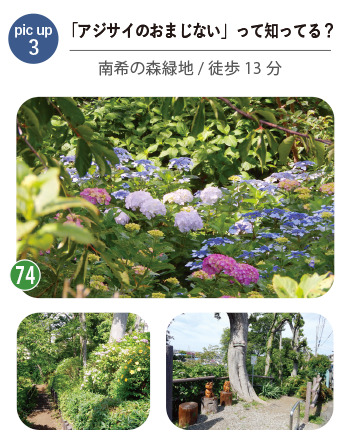 四季を感じる、あじさいの小径 南希望が丘緑地(徒歩13分)のあじさいが咲く風景。緑に囲まれた散策路で季節の自然を楽しめる環境。