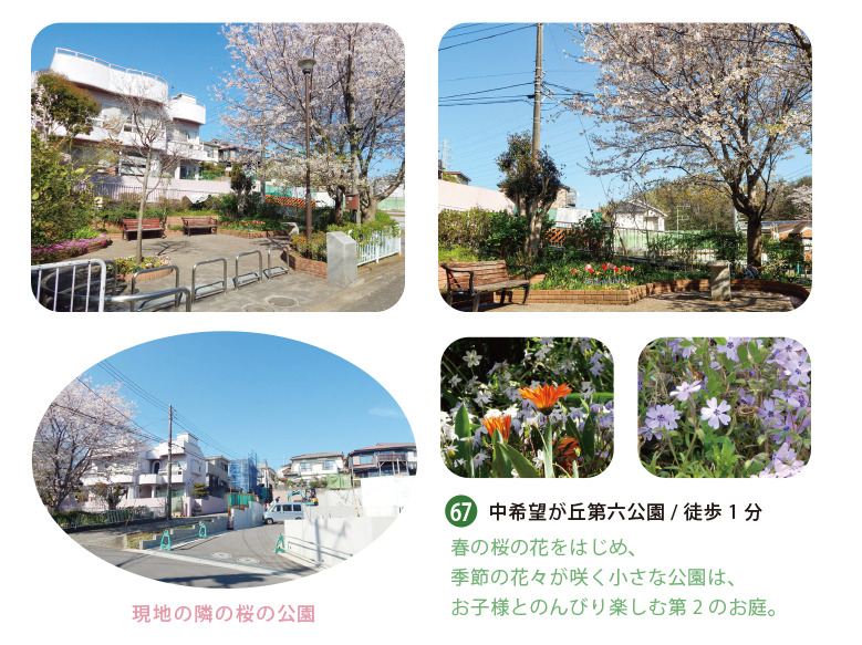「第2のお庭」として親しめる、桜と季節の花が美しい隣接公園 物件のすぐ隣に位置する中希望が丘第六公園。春には満開の桜が咲き誇り、色とりどりの季節の花々に囲まれてお子様とのんびり過ごせる、まるでお庭のような公園。