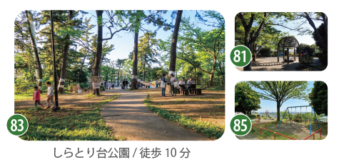 横浜市青葉区しらとり台公園の風景。緑豊かな園内で子どもが遊べる身近な公園