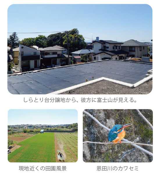 横浜市青葉区しらとり台の自然と暮らしの魅力。恩田川のカワセミ、田園風景、分譲地からの景色を紹介