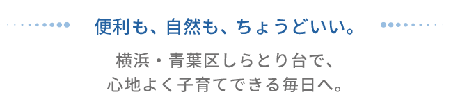横浜市青葉区しらとり台の子育てに適した住環境を表現したキャッチコピー