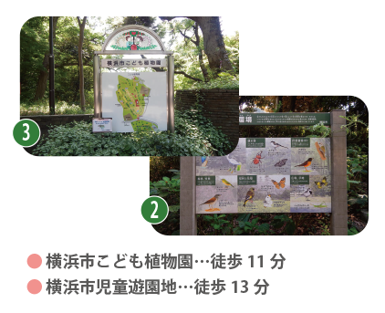 横浜市こども植物園 徒歩11分、横浜市児童遊園地 徒歩13分