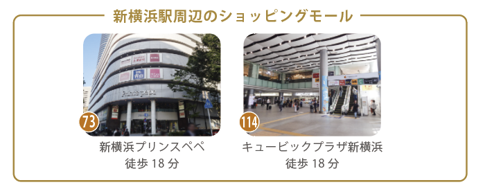 富士塚1丁目のお買い物環境|毎日の暮らしを支える便利な施設 富士塚1丁目周辺のショッピングモールを紹介する施設画像