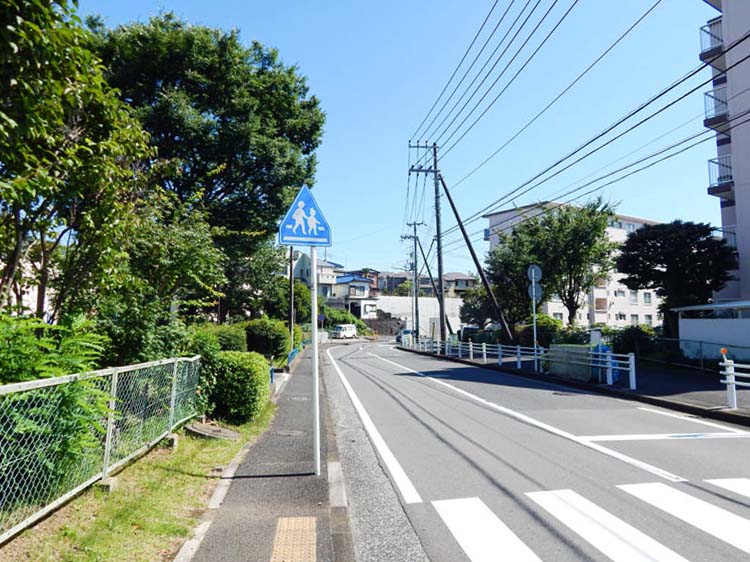 交通量が少ない静かな分譲地前のフラットな道、周辺の住宅街