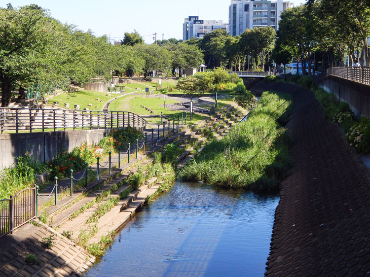 和泉川「地蔵原の水辺」