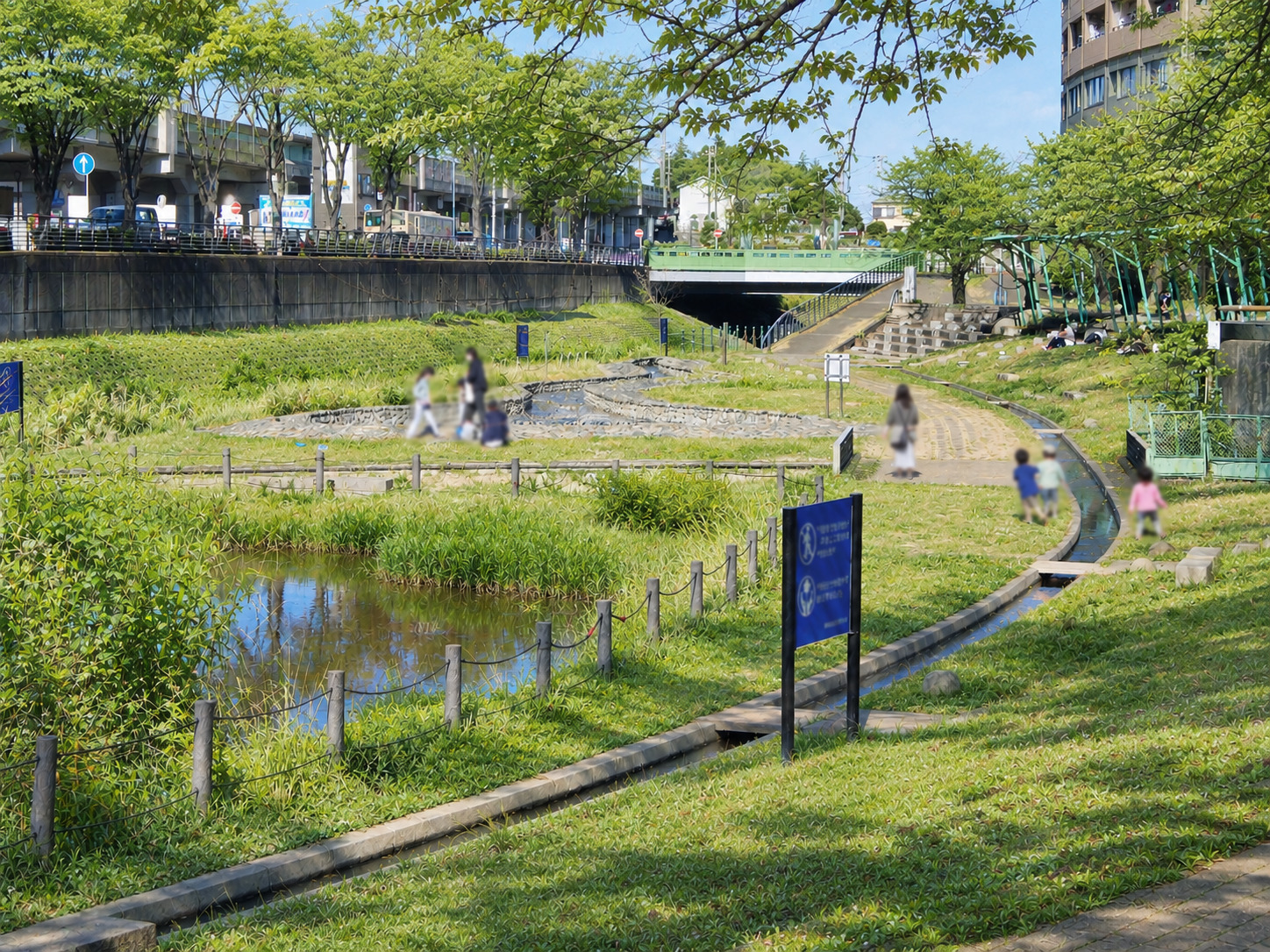 和泉川「地蔵原の水辺」