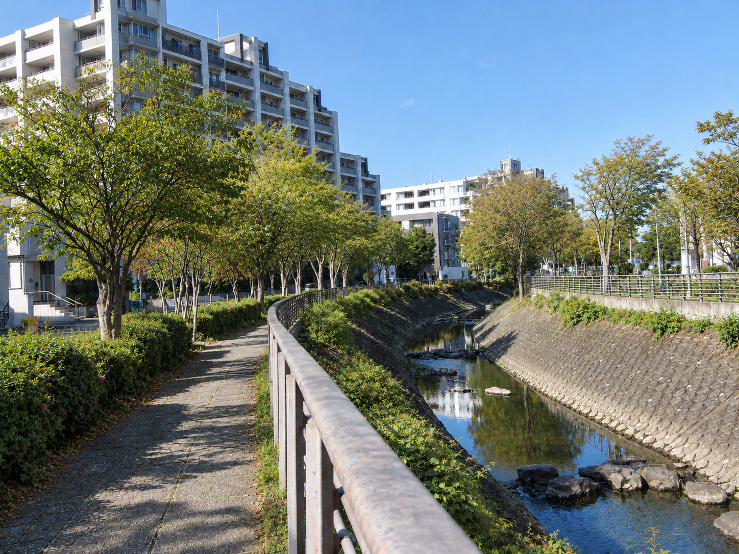 和泉川「地蔵原の水辺」
