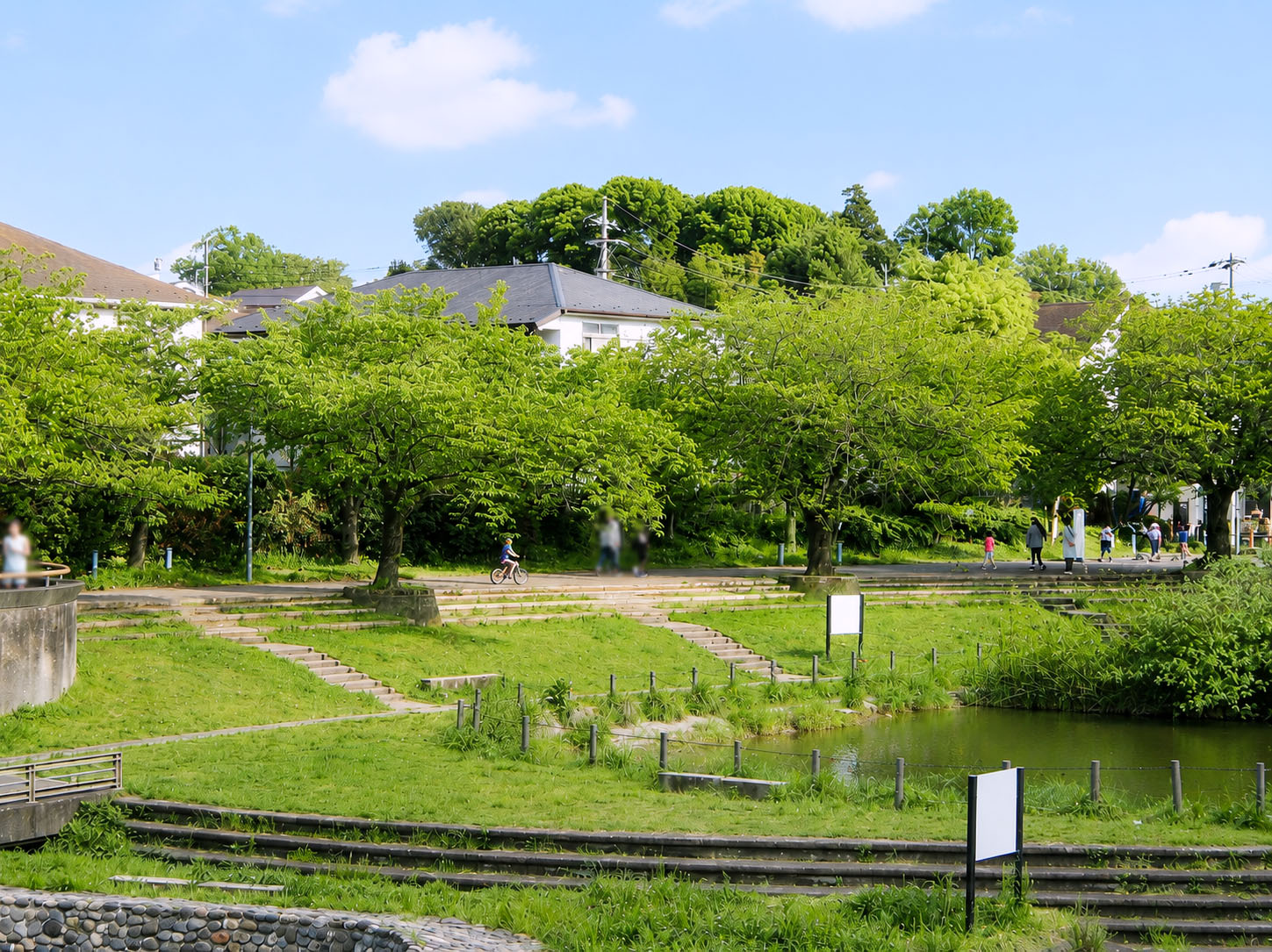 和泉川「地蔵原の水辺」