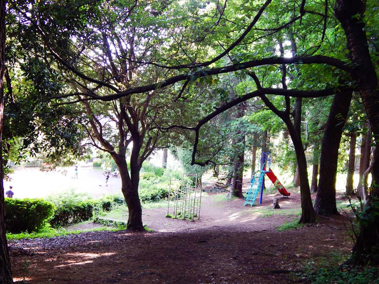 希望が丘ふれあいの森公園