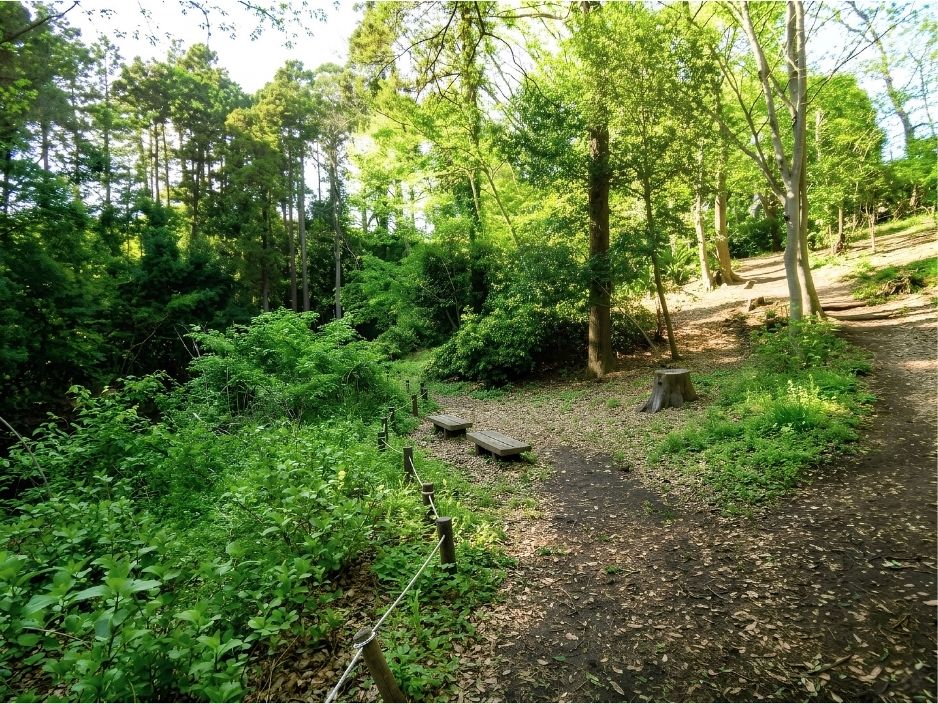 希望が丘水の森公園