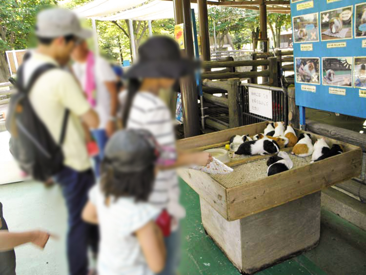 こども自然公園