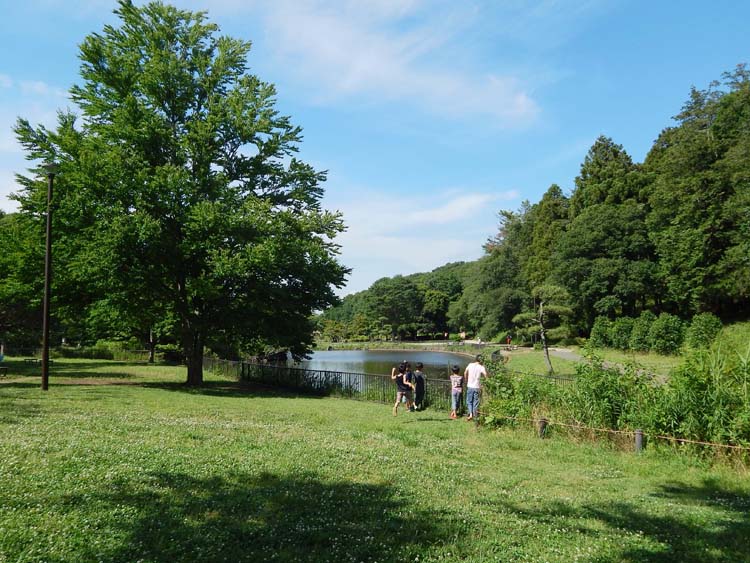こども自然公園
