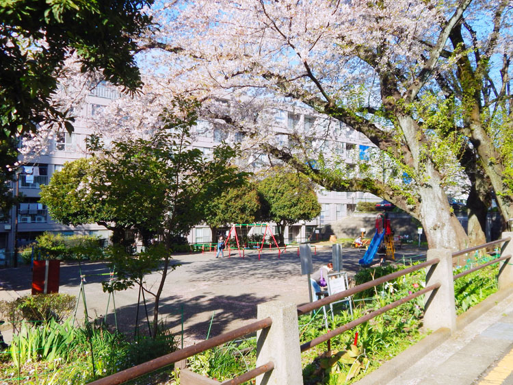 中希望が丘第三公園