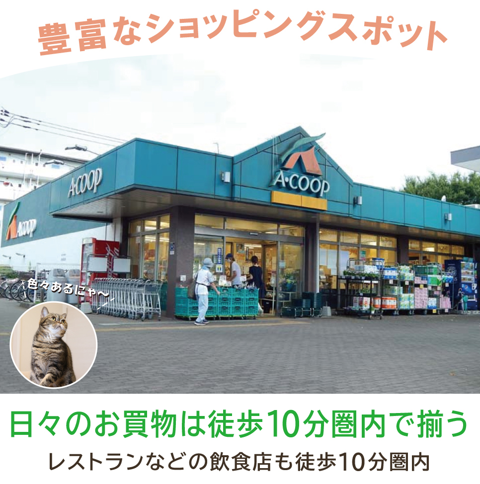 豊富なショッピングスポット 豊富なショッピングスポット