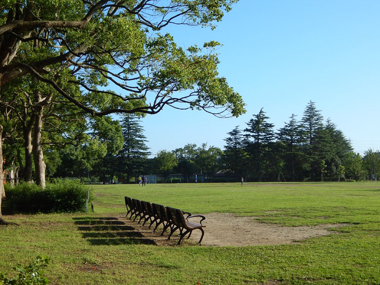 ラシット横浜 戸塚町 全5棟-周辺環境-金井公園