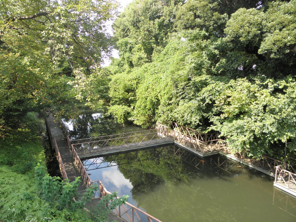 大正団地脇の貯水池