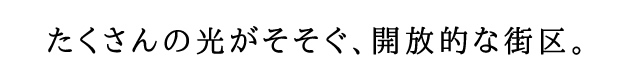gumisawa-gaiku-tit02
