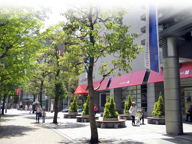 aobadai-location03 青葉台駅 周辺 東急スクエア