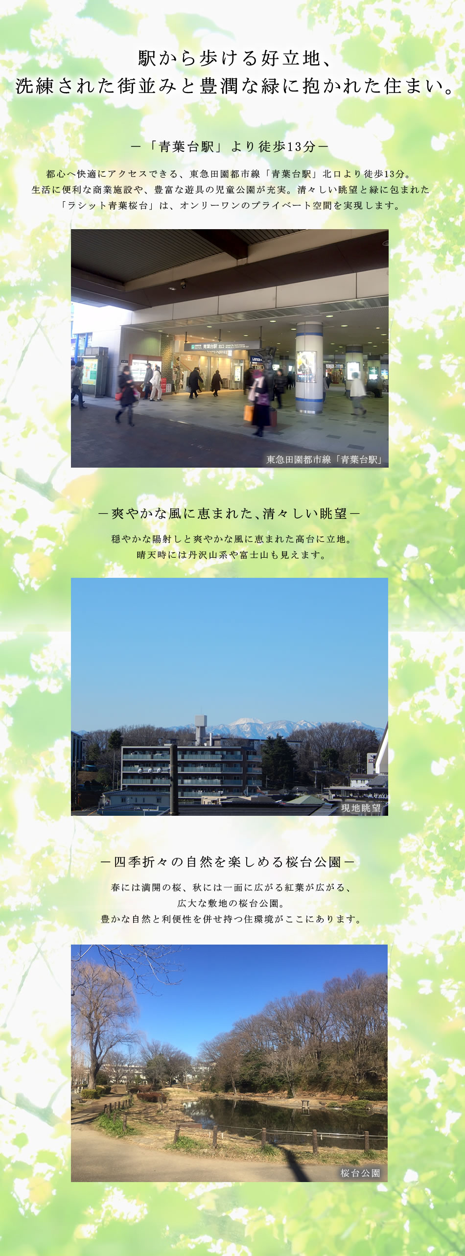 img1b