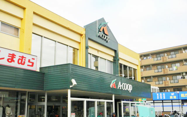 img29