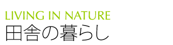 izumichuominami3 02_2