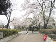 nishigaoka9 nd03