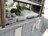 nishigaoka9 ny018