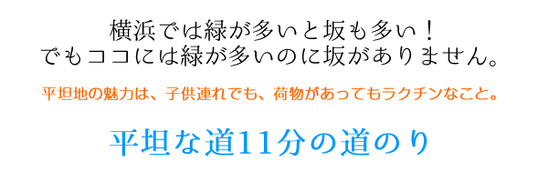 izumichuominami3 tit01