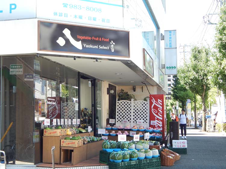 (周辺環境:八百國セレクト)ラシット横浜 サン・ヒルズ青葉台 全13棟