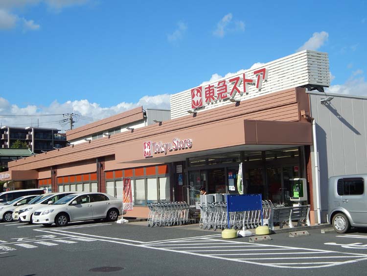 (周辺環境:東急ストア たちばな台店)ラシット横浜 サン・ヒルズ青葉台 全13棟