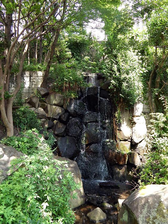 o0563075013798583329 戸塚区 下倉田 紅葉滝