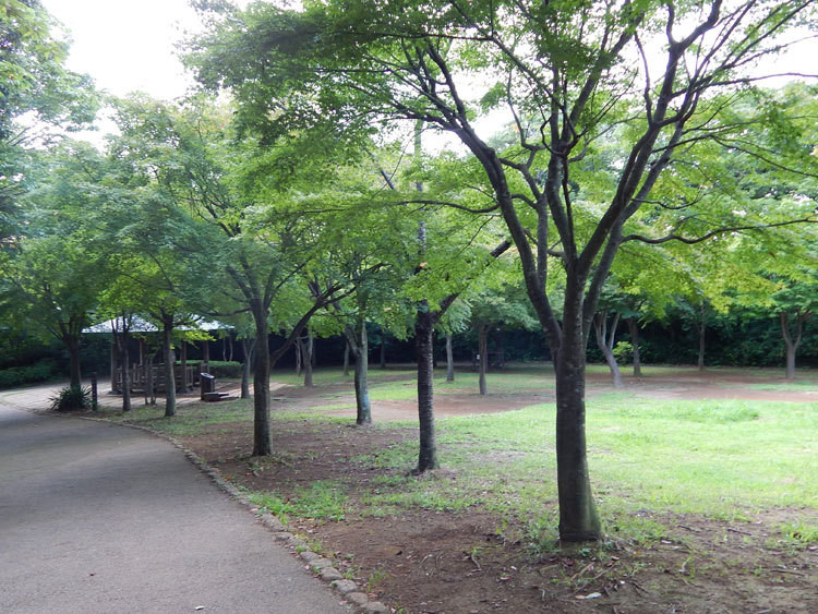 戸塚区 舞岡公園