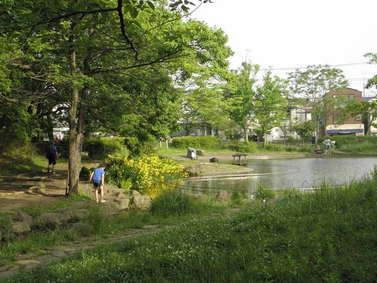 tchi_01 青葉区 桜台公園