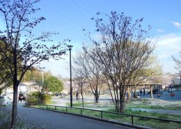 戸塚区 戸塚公園 憩いの広場