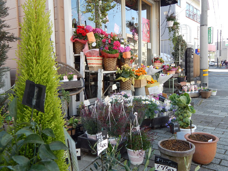 flower-shop-clover-kandaiji