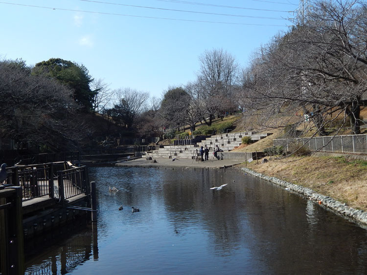 kishine-park-pond