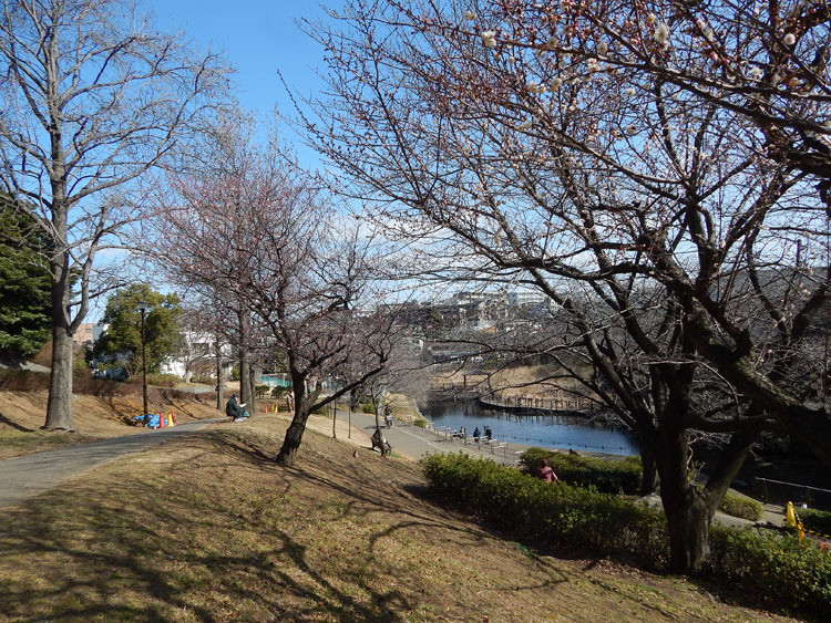 kishine-park