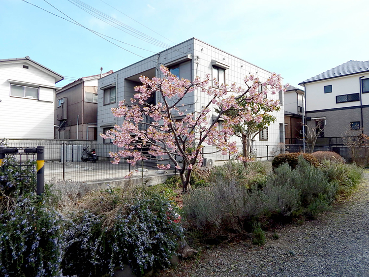ラシット横浜 グリーンガーデン下倉田 全7棟 周辺の住宅地