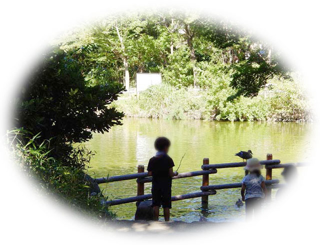 菊名池公園 菊名池公園