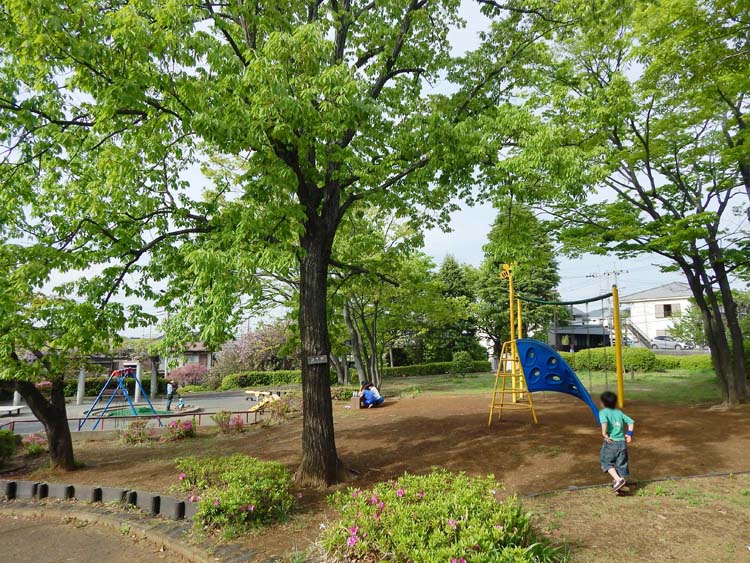 柿の木台第一公園の遊具広場 横浜建物