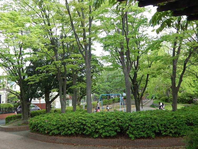 たちばな台公園の遊具広場 横浜建物