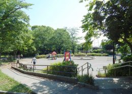 横浜市 泉区しらゆり公園 遊具広場 芝生広場 横浜建物