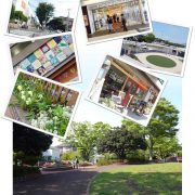 白百合の暮らしイメージ 横浜建物